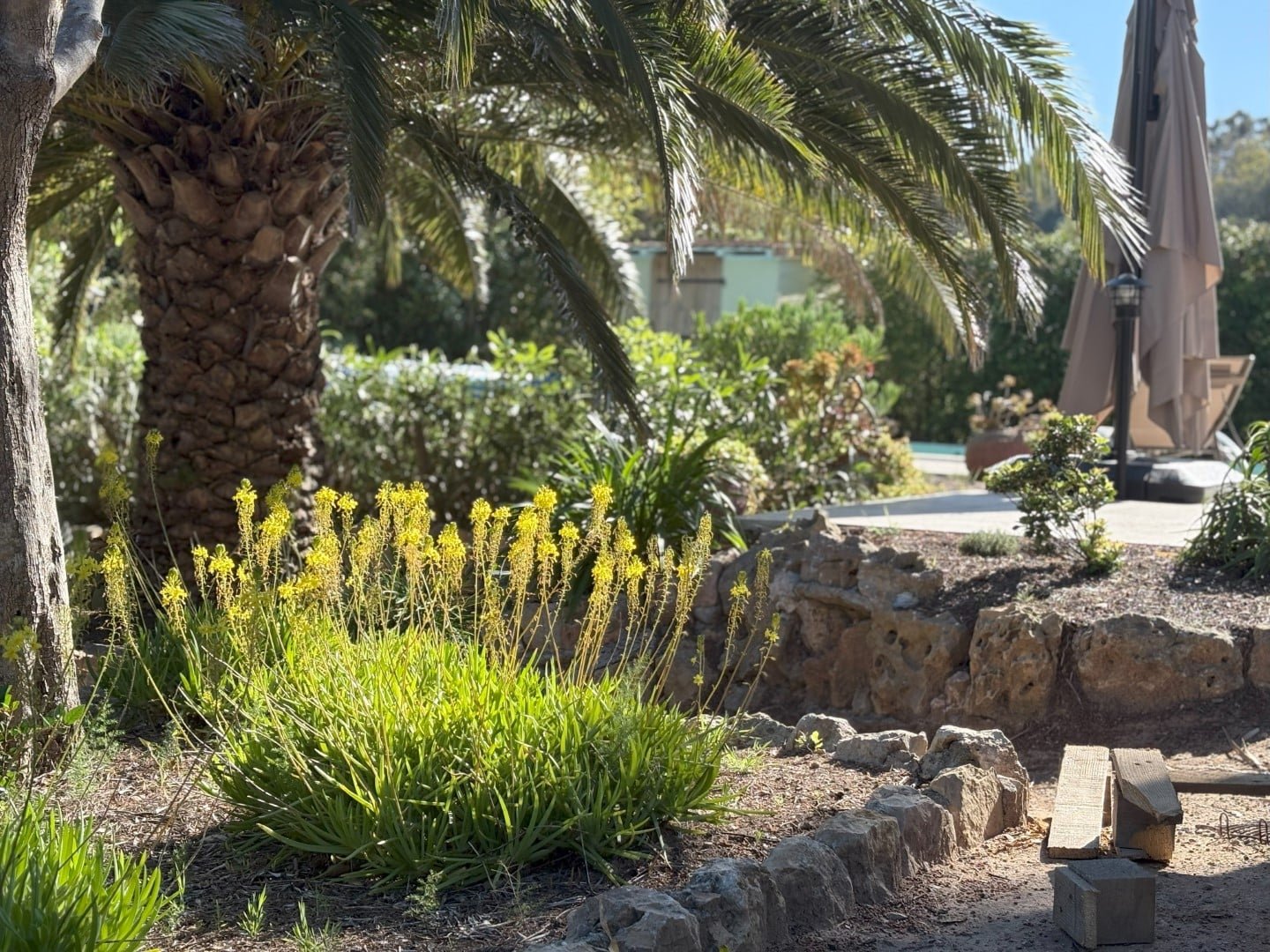 Le jardin Dar Es Saada